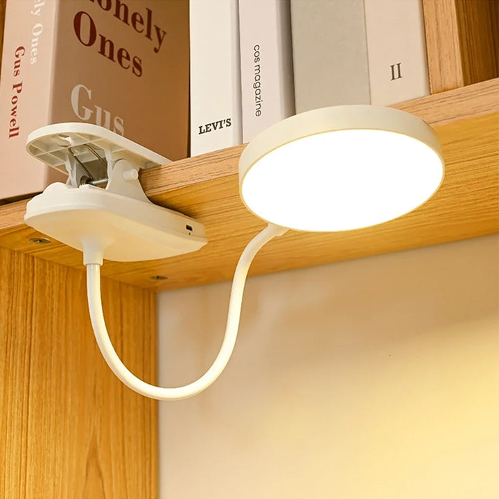LED Desk Lamp