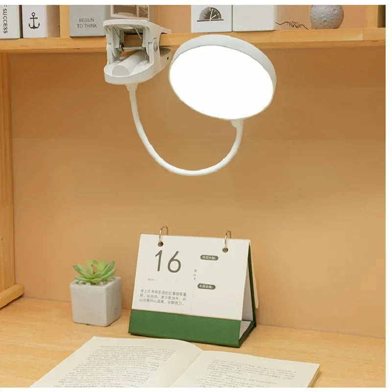 LED Desk Lamp